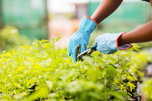 Violet Gardens crew preparing to begin garden cleanup