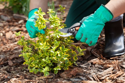 Eco-friendly lawn care equipment