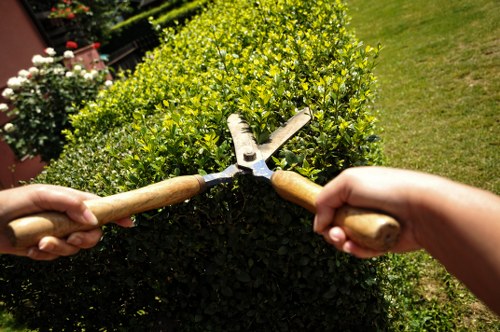 Various decking materials and designs