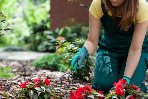 Seasonal gardening tasks in Violet Gardens