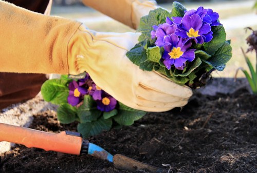 Tools used for garden clearance in Violet Gardens