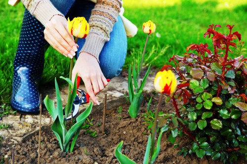 Seasonal maintenance activities in a lush Violet Garden