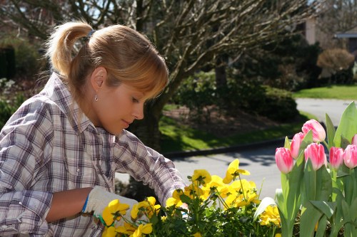 Professional designing a Violet Garden with selected plants and hardscaping elements